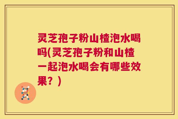 灵芝孢子粉山楂泡水喝吗(灵芝孢子粉和山楂一起泡水喝会有哪些效果？)