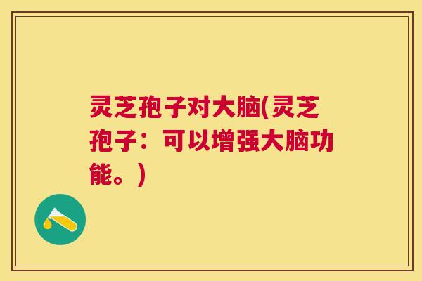 灵芝孢子对大脑(灵芝孢子：可以增强大脑功能。)