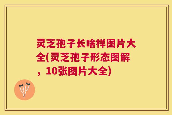 灵芝孢子长啥样图片大全(灵芝孢子形态图解，10张图片大全)