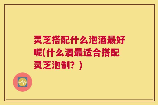 灵芝搭配什么泡酒最好呢(什么酒最适合搭配灵芝泡制？)