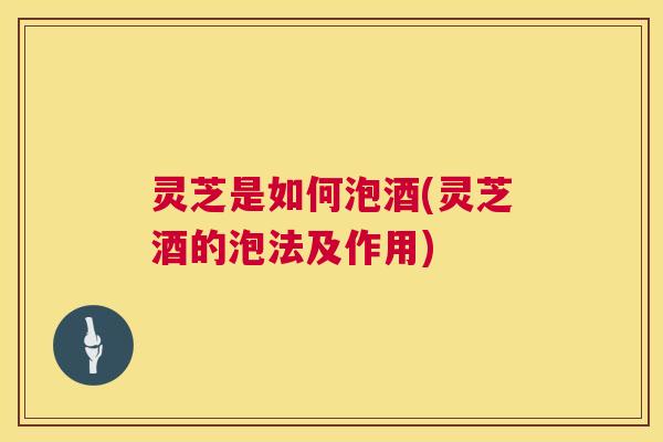 灵芝是如何泡酒(灵芝酒的泡法及作用)
