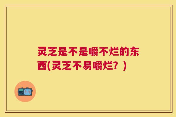 灵芝是不是嚼不烂的东西(灵芝不易嚼烂？)