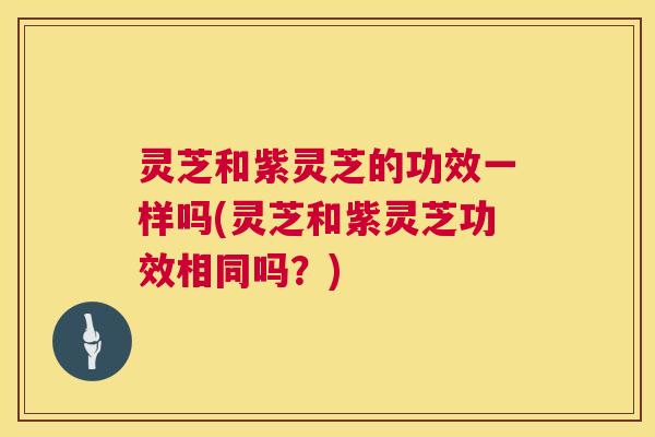 灵芝和紫灵芝的功效一样吗(灵芝和紫灵芝功效相同吗？)