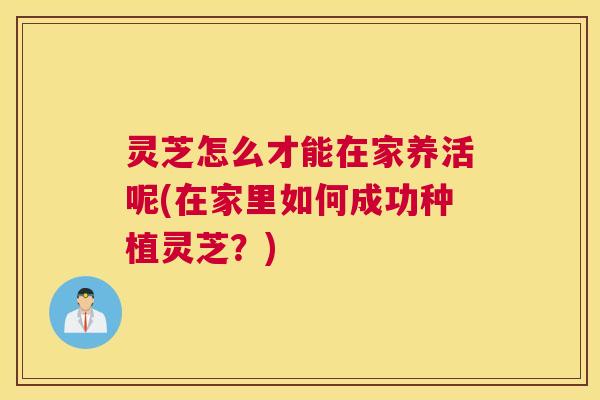 灵芝怎么才能在家养活呢(在家里如何成功种植灵芝？)