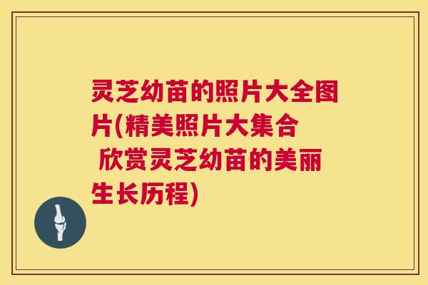 灵芝幼苗的照片大全图片(精美照片大集合  欣赏灵芝幼苗的美丽生长历程)