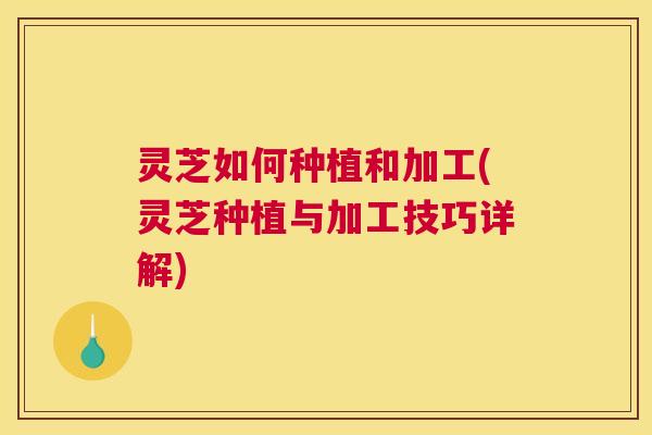 灵芝如何种植和加工(灵芝种植与加工技巧详解)