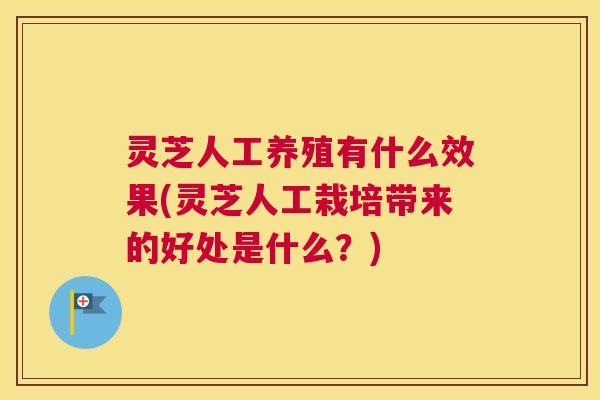 灵芝人工养殖有什么效果(灵芝人工栽培带来的好处是什么？)