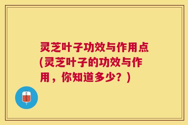 灵芝叶子功效与作用点(灵芝叶子的功效与作用，你知道多少？)