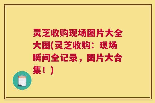 灵芝收购现场图片大全大图(灵芝收购：现场瞬间全记录，图片大合集！)