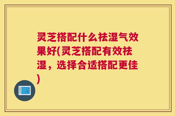 灵芝搭配什么祛湿气效果好(灵芝搭配有效祛湿，选择合适搭配更佳)
