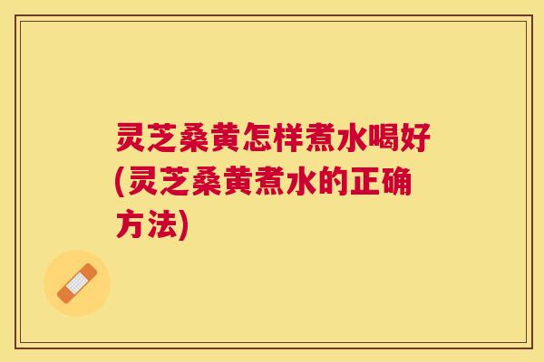 灵芝桑黄怎样煮水喝好(灵芝桑黄煮水的正确方法)