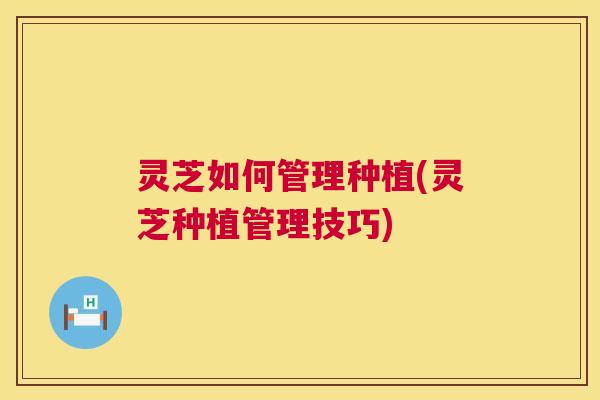 灵芝如何管理种植(灵芝种植管理技巧)