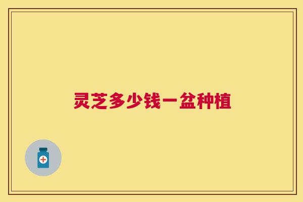 灵芝多少钱一盆种植