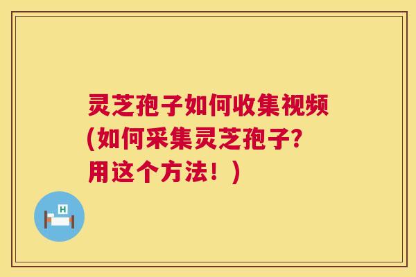 灵芝孢子如何收集视频(如何采集灵芝孢子？用这个方法！)