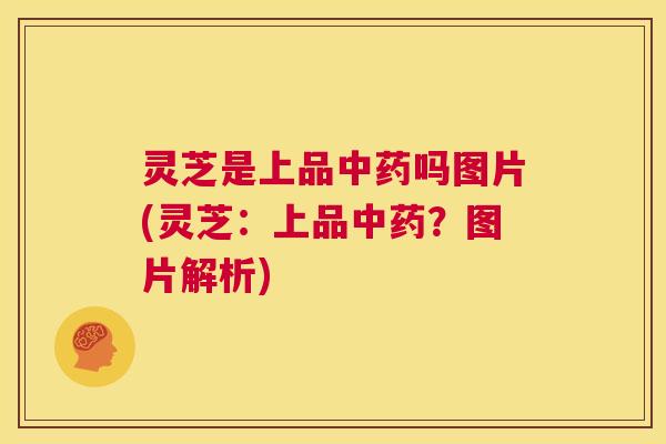 灵芝是上品中药吗图片(灵芝：上品中药？图片解析)