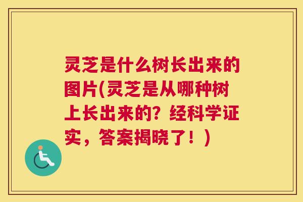 灵芝是什么树长出来的图片(灵芝是从哪种树上长出来的？经科学证实，答案揭晓了！)