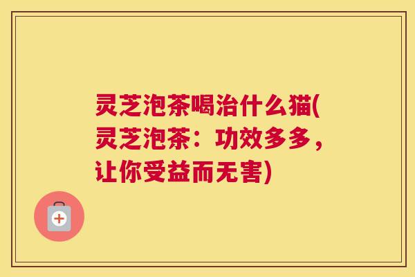 灵芝泡茶喝治什么猫(灵芝泡茶：功效多多，让你受益而无害)