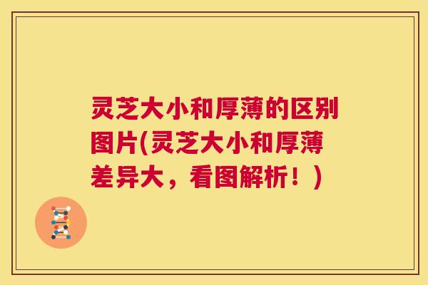 灵芝大小和厚薄的区别图片(灵芝大小和厚薄差异大，看图解析！)