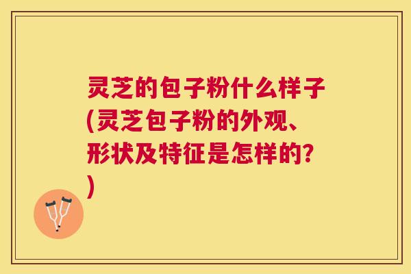 灵芝的包子粉什么样子(灵芝包子粉的外观、形状及特征是怎样的？)
