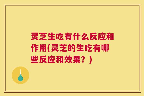 灵芝生吃有什么反应和作用(灵芝的生吃有哪些反应和效果？)