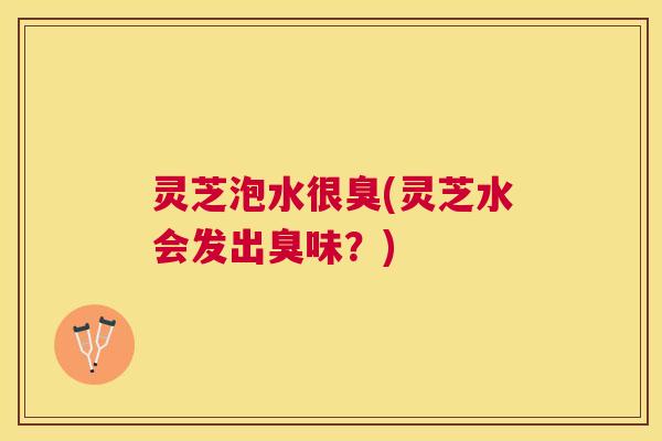 灵芝泡水很臭(灵芝水会发出臭味？)
