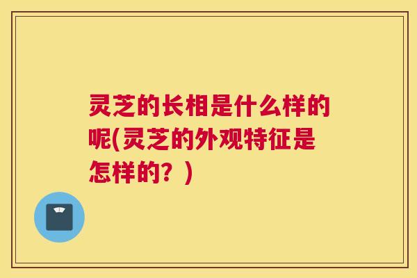 灵芝的长相是什么样的呢(灵芝的外观特征是怎样的？)