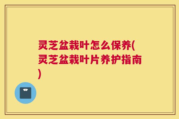 灵芝盆栽叶怎么保养(灵芝盆栽叶片养护指南)