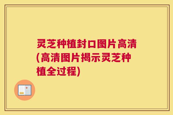 灵芝种植封口图片高清(高清图片揭示灵芝种植全过程)