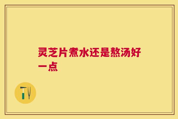 灵芝片煮水还是熬汤好一点