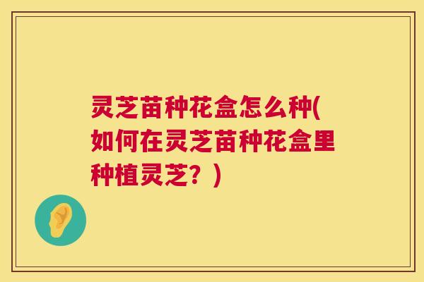 灵芝苗种花盒怎么种(如何在灵芝苗种花盒里种植灵芝？)