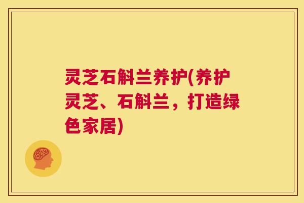 灵芝石斛兰养护(养护灵芝、石斛兰，打造绿色家居)