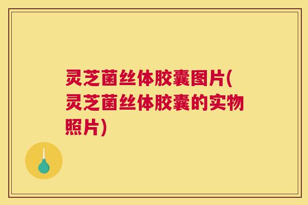 灵芝菌丝体胶囊图片(灵芝菌丝体胶囊的实物照片)