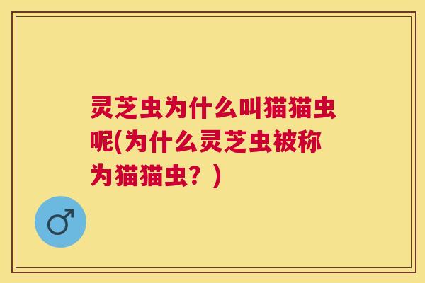 灵芝虫为什么叫猫猫虫呢(为什么灵芝虫被称为猫猫虫？)