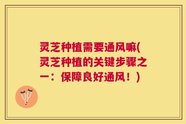 灵芝种植需要通风嘛(灵芝种植的关键步骤之一：保障良好通风！)