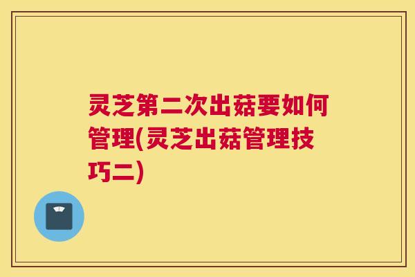 灵芝第二次出菇要如何管理(灵芝出菇管理技巧二)