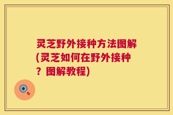 灵芝野外接种方法图解(灵芝如何在野外接种？图解教程)