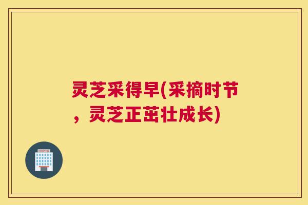 灵芝采得早(采摘时节，灵芝正茁壮成长)