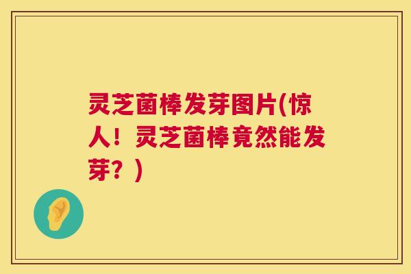 灵芝菌棒发芽图片(惊人！灵芝菌棒竟然能发芽？)