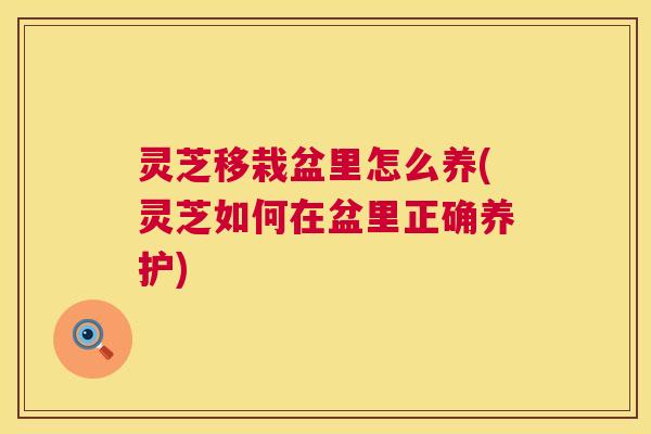 灵芝移栽盆里怎么养(灵芝如何在盆里正确养护)