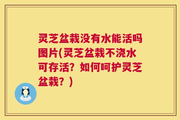 灵芝盆栽没有水能活吗图片(灵芝盆栽不浇水可存活？如何呵护灵芝盆栽？)