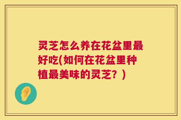 灵芝怎么养在花盆里最好吃(如何在花盆里种植最美味的灵芝？)