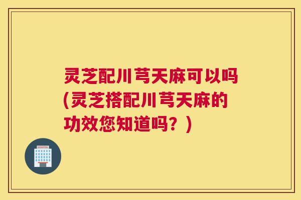 灵芝配川芎天麻可以吗(灵芝搭配川芎天麻的功效您知道吗？)