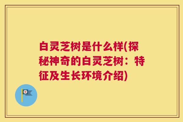 白灵芝树是什么样(探秘神奇的白灵芝树：特征及生长环境介绍)