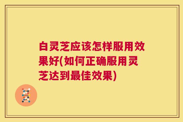 白灵芝应该怎样服用效果好(如何正确服用灵芝达到最佳效果)