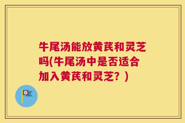牛尾汤能放黄芪和灵芝吗(牛尾汤中是否适合加入黄芪和灵芝？)
