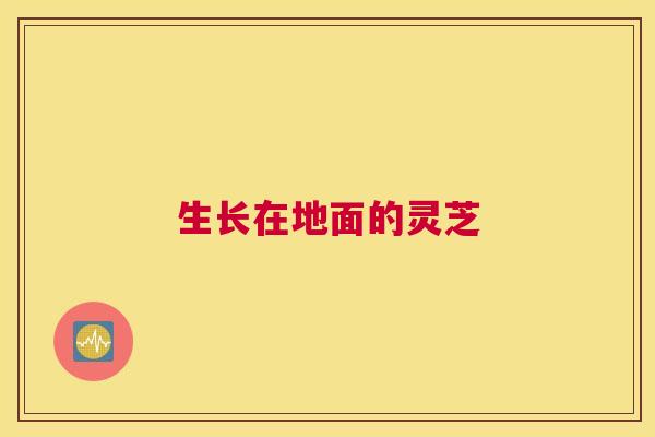 生长在地面的灵芝