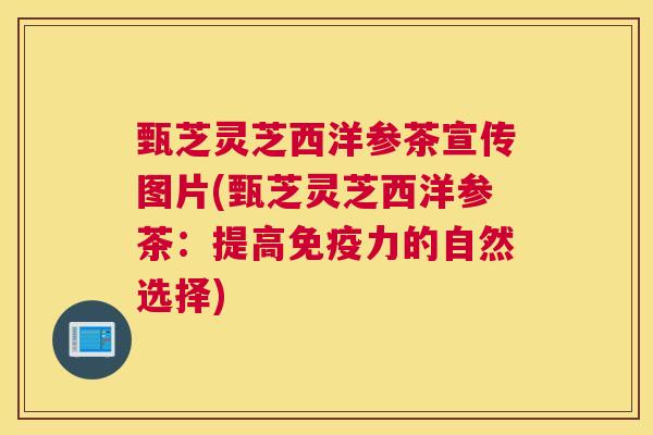 甄芝灵芝西洋参茶宣传图片(甄芝灵芝西洋参茶：提高免疫力的自然选择)