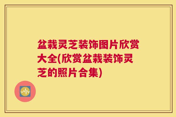 盆栽灵芝装饰图片欣赏大全(欣赏盆栽装饰灵芝的照片合集)