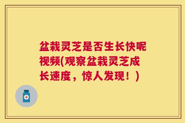 盆栽灵芝是否生长快呢视频(观察盆栽灵芝成长速度，惊人发现！)