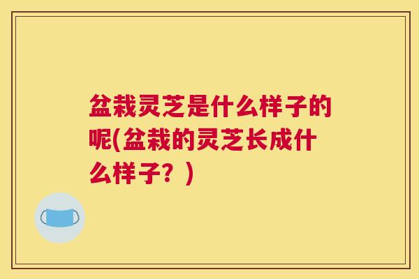 盆栽灵芝是什么样子的呢(盆栽的灵芝长成什么样子？)